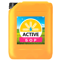 ACTIVE-Бор