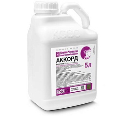 Аккорд*