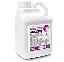 Аккорд*
