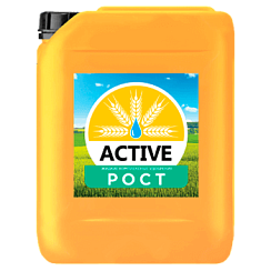 ACTIVE-Рост