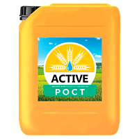 ACTIVE-Рост