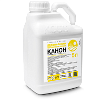 Канон