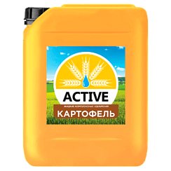 ACTIVE-Картофель
