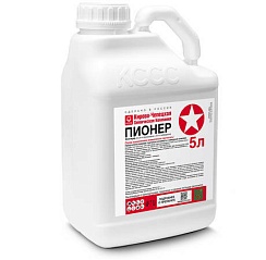 Пионер