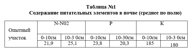  1 .jpg